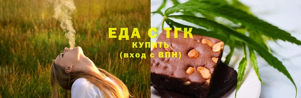 индика Краснотурьинск