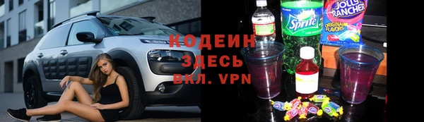 индика Краснотурьинск