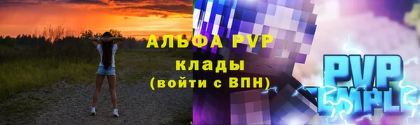индика Краснотурьинск