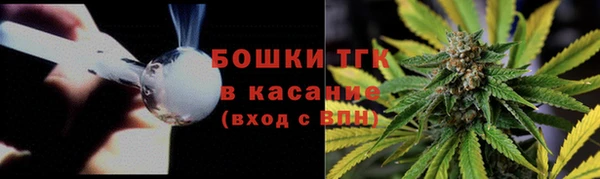 индика Краснотурьинск