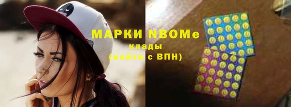 индика Краснотурьинск