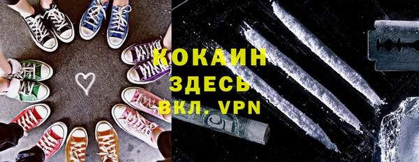 индика Краснотурьинск