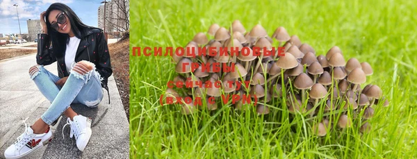 мет Красноперекопск