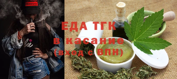 индика Краснотурьинск