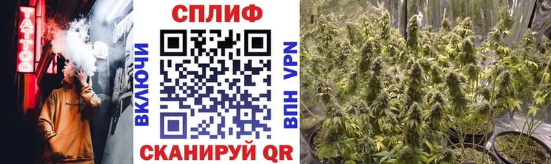 Купить закладки  Исилькуль  Канабис сатива 